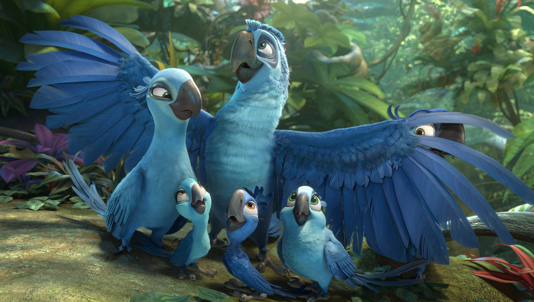 Chú Vẹt Rio 2 - Rio 2